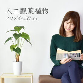 【15％OFFクーポン 4/25 0時～24時】 人工観葉植物 光触媒 クワズイモ57cm 水やり不要 高さ57 インテリアグリーン 観葉植物 造花クワズイモ57cm 送料無料