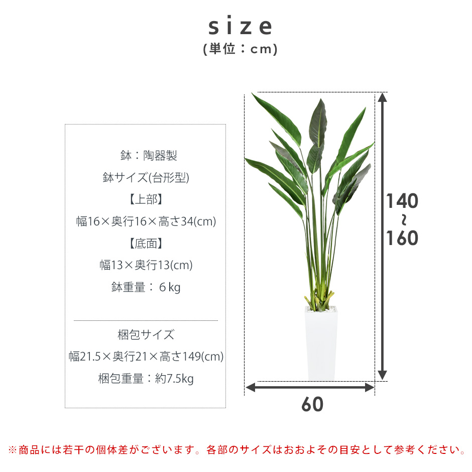 楽天市場】人工観葉植物 光触媒 ストレリチア140cm 水やり不要 高さ140