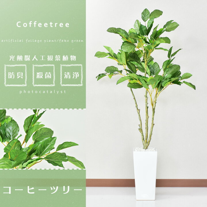 楽天市場】【10％OFFクーポン☆4/4 20時~4/10 2時】 人工観葉植物 