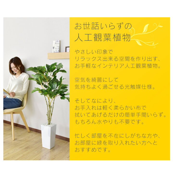楽天市場】【10％OFFクーポン☆4/4 20時~4/10 2時】 人工観葉植物 