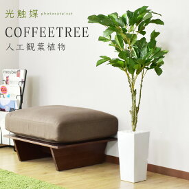 【15％OFFクーポン 4/25 0時～24時】 人工観葉植物 フェイクグリーン 観葉植物 コーヒーの木 インテリアグリーン 造花 光触媒 5号 鉢 水やり不要 インテリア おしゃれ お祝い 誕生日 結婚 父 母 お祝い お礼 贈り物 プレゼント コーヒーツリー