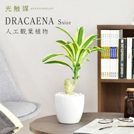 【15％OFFクーポン★5/23 20時~5/24 24時】 人工観葉植物 光触媒 ドラセナ 水やり不要 インテリアグリーン 観葉植物 造花ドラセナS 送料無料