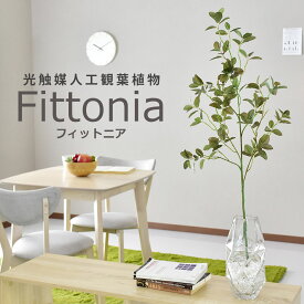 【15％OFFクーポン★5/23 20時~5/24 24時】 人工観葉植物 光触媒 フィットニア（ガラス鉢） 水やり不要 インテリアグリーン 観葉植物 造花フィットニア（ガラス鉢）送料無料