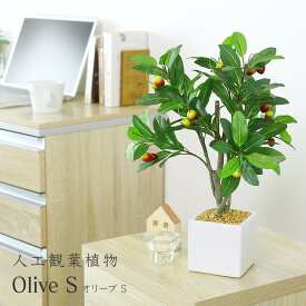 【★4h限定★15％OFFクーポン 4/24 20時～24時】 【レビュー特典あり】 観葉植物 人工観葉植物 水やり不要 インテリアグリーン フェイクグリーン オリーブS 送料無料