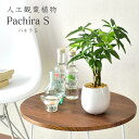 人工観葉植物 フェイクグリーン 観葉植物 パキラ 造花 光触媒 鉢 水やり不要 インテリア お祝い 誕生日 出産内祝い お返し 結婚 父 母 男性 女性 彼氏 彼女 お祝い お礼 贈り物 プレゼント パキラS ドリス