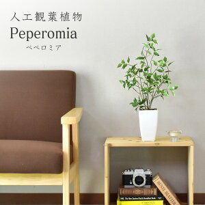 lHϗtA sv i 񂽂ݒu tFCNO[ tFCNvg p t u ϗtA yy~A  G} sv CeA j a j