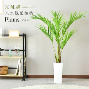 lHϗtA sv i 񂽂ݒu tFCNO[ tFCNvg p t u ϗtA  G} 5  sv CeA j a oYj