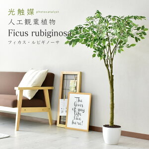 人工観葉植物 お手入れ不要 完成品 かんたん設置 フェイクグリーン フェイクプラント 室内用 鉢付き 置くだけ 観葉植物 造花 光触媒 鉢 水やり不要 インテリア お祝い 誕生日 内祝い お返し