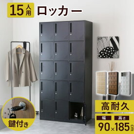 ロッカー 15人用 オフィス スチール ロータイプ 3列5段 鍵 シリンダー錠 シューズロッカー スチールロッカー 15枚扉 オフィスロッカー 業務用ロッカー 幅90 更衣室 病院 スポーツ施設 15人用ロッカー 北欧 モダン おしゃれ コンパクト スリム 収納 アークス ザイファ 新生活