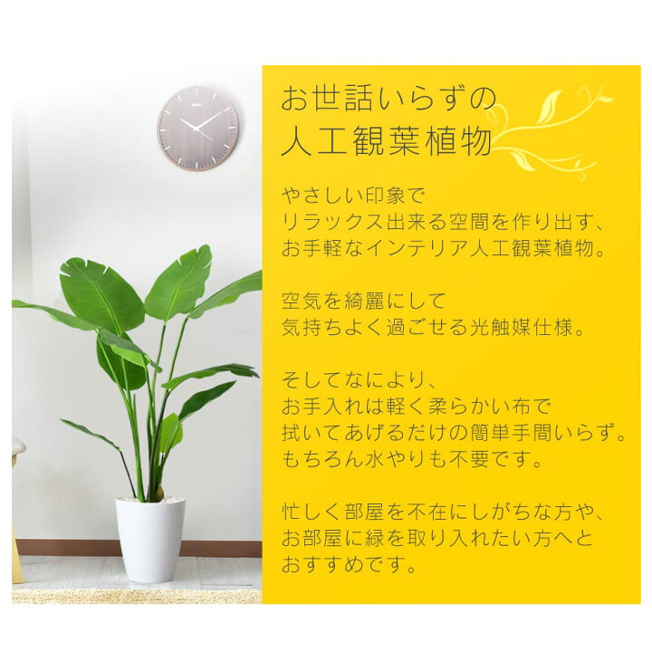 楽天市場】人工観葉植物 お手入れ不要 完成品 かんたん設置 フェイク 