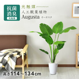 【クーポン20%off 1/24 20時〜24時】 人工観葉植物 お手入れ不要 完成品 かんたん設置 フェイクグリーン フェイクプラント 室内用 鉢付き 置くだけ 観葉植物 造花 光触媒 5号 鉢 水やり不要 インテリア おしゃれ お祝い 誕生日 お返し コンパクト スリム オーガスタ