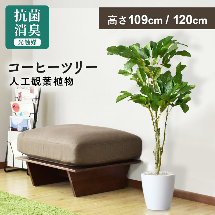 楽天市場】【15%offクーポン 7/4 20時-24時】 人工観葉植物 お手入れ 