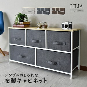 収納ボックス 衣類収納 チェスト ランドリーラック 洗面所 収納 収納棚 キッチンラック キッチン棚 ランドリー収納 収納ケース 二段 子ども服収納 子ども用タンス ランドリー収納 脱衣所収