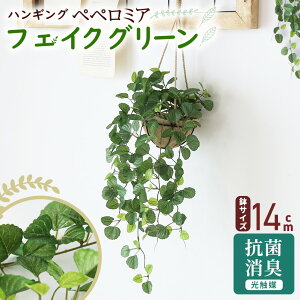 ϗtA sv i 񂽂ݒu tFCNO[ tFCNvg p t u  G} ݂艺 hL R rO _CjO gC  lHϗtA