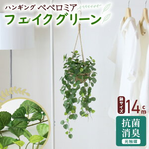 yN[|10%off 600`924z ϗtA sv i 񂽂ݒu tFCNO[ tFCNvg p t u  G} ݂艺 hL R rO 