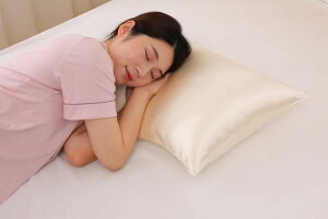 VNJo[ VN Jo[ 43×63cm Bt@Xi[  VRVN100% sP[X ܂Jo[  V