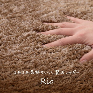 փ}bg }bg   VM[ zbgJ[ybgΉ g[Ή ~߉H V ANZg}bg k 47×75 I