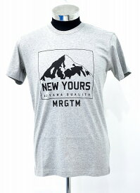 【新品】 MISTERGENTLEMAN (ミスタージェントルマン) MT.NEW YOURS TEE マウントニューユアーズTシャツ 半袖TEE クルーネック プリント PRINT S/S T-SHIRT アオヤマ ロゴ GREY S MGK-TE01 青山 Mr.GENTLEMAN