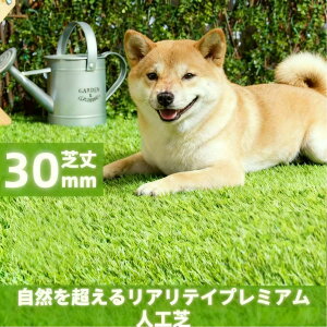 lH NX}X@[^Cv 30mm x Œst Ԃɂ ϋv O[ Ő  K[fjO x_ hbO O\ GNXeA {HȒP hV[g ړy O