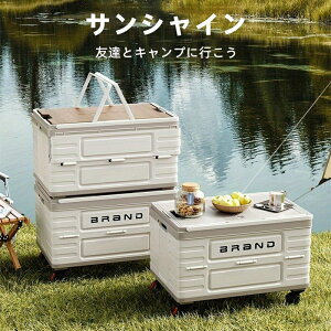 ܂肽݃Rei Rei{bNX [{bNX oXPbg t 48Le ܂肽݉\ W[{bNX Lv AEghA sNjbN [ ȒPg RpNg[ 