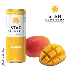 【送料無料】スターコンブチャ マンゴー(発酵飲料)[250ml／1本]STAR KOMBUCHA MANGO 紅茶キノコ 発酵ドリンク konbucha【常温便】