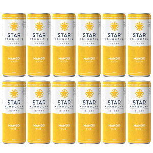 yzX^[Ru` }S[(y)[250ml^1{]STAR KOMBUCHA MANGO gLmR yhN konbuchay퉷ցz
