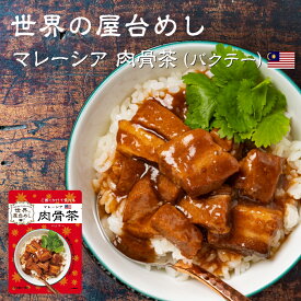 世界の屋台めし 肉骨茶(バクテー)(160g)(マレーシアの屋台飯)レトルト バックッテー インスタント Bak kut teh(常温便)(送料無料) copy