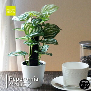 yy~Ai|bgtj 25cm G}H tFCNO[ ~jϗtA tFCN A  CeA lHϗtA L  JtF Lb` n EB NX}X RpNg 