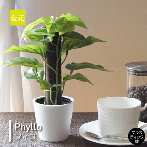 tBi|bgtj 25cm G}H tFCNO[ ~jϗtA tFCN A  CeA lHϗtA L  JtF Lb` n EB NX}X RpNg v