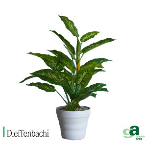 fBtFoLA|bg 52cm G}H tFCNO[ ~jϗtA tFCN A  CeA lHϗtA L  JtF Lb` n EB NX}X RpNg v