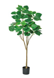 Ex[^i|bgtj 145cm tFCNO[ ϗtA tFCN A  CeA lHϗtA L  JtF Lb` n EB NX}X ^ v[g ItBX 