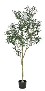 I[ui|bgtj 180cm tFCNO[ ϗtA tFCN A  CeA lHϗtA L  JtF Lb` n EB NX}X ^ v[g ItBX 