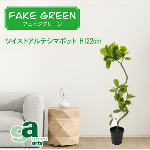 cCXgAeV}|bg 122cm tFCNO[ ~jϗtA tFCN A  CeA lHϗtA L  JtF Lb` n EB NX}X RpNg v[g