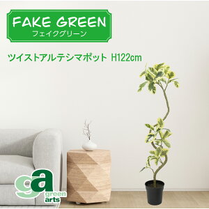 cCXgAeV}|bg 122cm tFCNO[ ~jϗtA tFCN A  CeA lHϗtA L  JtF Lb` n EB NX}X RpNg v[g