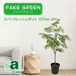 Go[tbV|bg 127cm tFCNO[ ~jϗtA tFCN A  CeA lHϗtA L  JtF Lb` n EB NX}X RpNg v[g 