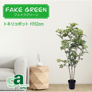 glR|bg 152cm tFCNO[ ~jϗtA tFCN A  CeA lHϗtA L  JtF Lb` n EB NX}X RpNg v[g ItBX 