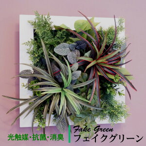 Ǌ|O[t[hZi zCg G}  CeA ϗtA CeAO[ lHϗtA tFCNO[  tFCN O[ j L R i` R 