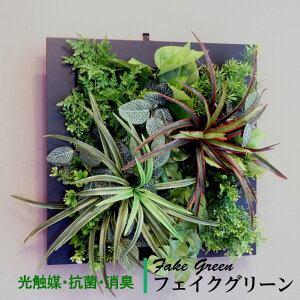 Ǌ| O[t[ hZi ubNiG}j ϗtA CeAO[ tFCNO[ lHϗtA n EB NX}X 蕨 v[g tFCN O[ 