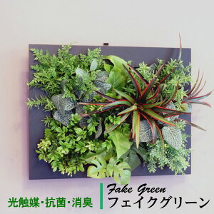 Ǌ| O[t[ hZi ubNiG}jԁEϗtA CeAO[ tFCNO[ lHϗtA n EB NX}X 蕨 v[g tFCN O[ 