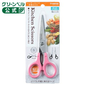 �n���f�B�^�C�v�����͂��݁i�s���N�j