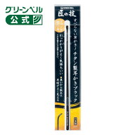 【匠の技 チタン製耳かき ブラック】G-2296 耳かき 耳掻き 耳掃除 耳そうじ 耳垢 チタン製 耳垢が見えや…