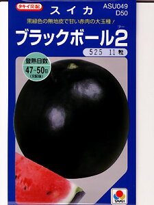 XCJ@^LCzubN{[2@@^LCc̃XCJiłB@̂ƂȂ炨CO[f|