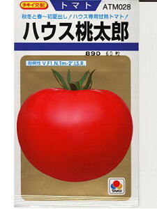 g}g@^LCzEEEnEXYEEE^LC̑ʃg}głB@̂ƂȂ炨CO[f|