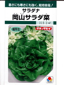 岡山サラダ菜　　＜タキイ種苗のサラダ菜品種です。種の通販ならグリーンデポ＞