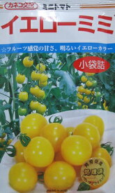 トマト　カネコ交配　イエローミミ　カネコのミニトマト種