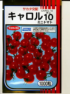 g}g@TJ^zL10EEETJ^̃~jg}głB@̂ƂȂ炨CO[f|