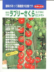 ミニトマト種　F1ラブリーさくら　　みかど協和のミニトマト品種です。　種のことならお任せグリーンデポ