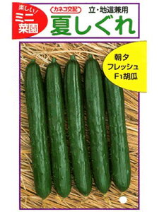 LE@JlRz@Ă@JlRc̃LEiłB@̂ƂȂ炨CO[f|