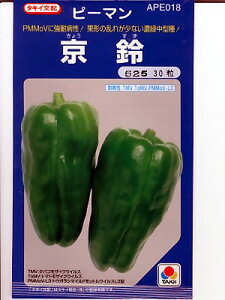 s[}@^LCzEEEEEE^LC̃s[}łB@̂ƂȂ炨CO[f|