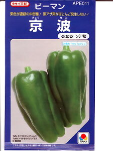 s[}@^LCzEEEgEEE^LC̃s[}łB@̂ƂȂ炨CO[f|